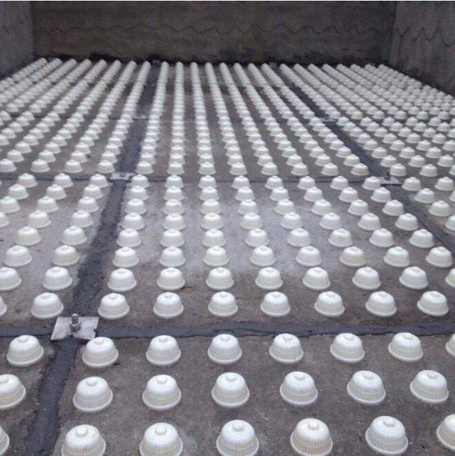 �V�^,�Vñ,�̱��V�^,�L(zh��ng)���V�^,ˮñ