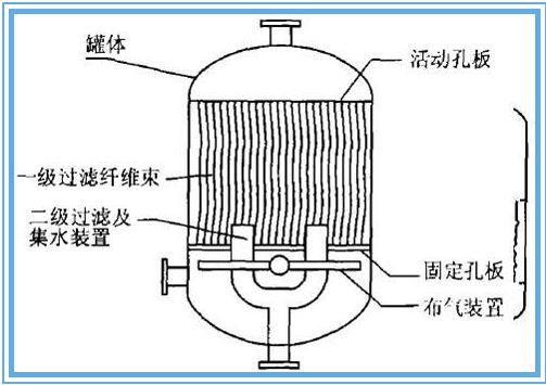 �w�S���^�V��